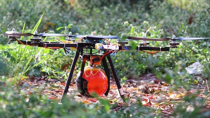 Police team searching liquor using drone in Bihar got big success, minigun factory exposed in bushes