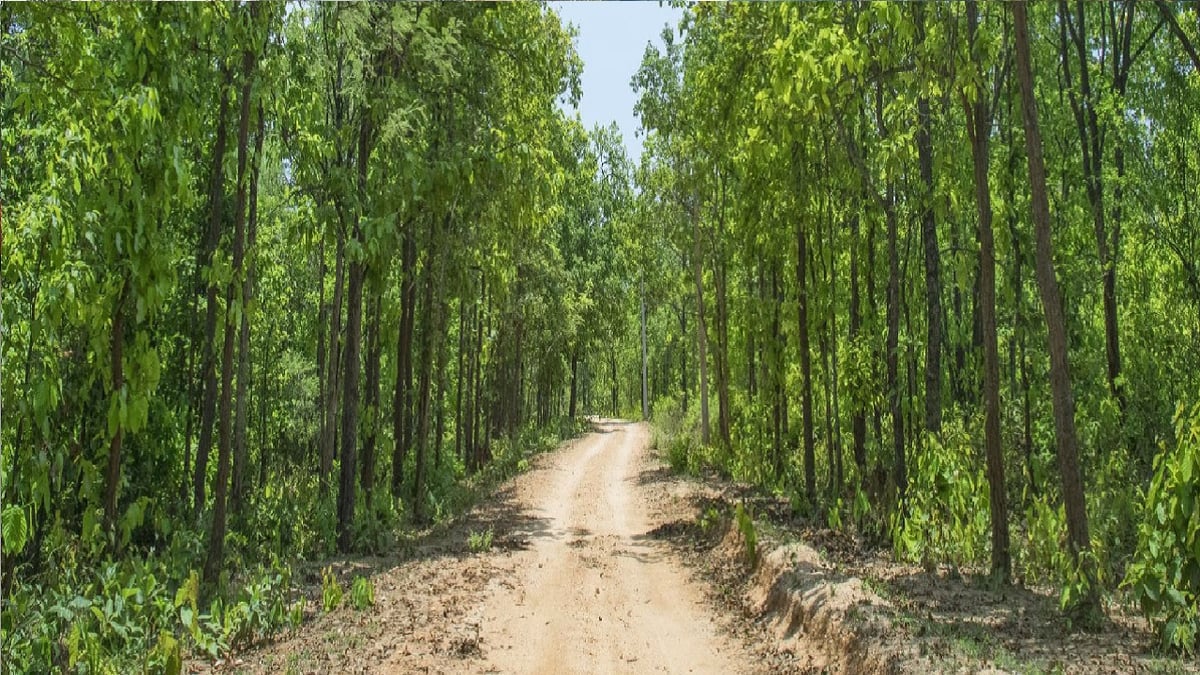 Road Trip: Enjoy the natural views with family in Churchu of Hazaribagh, your heart will feel like a garden.