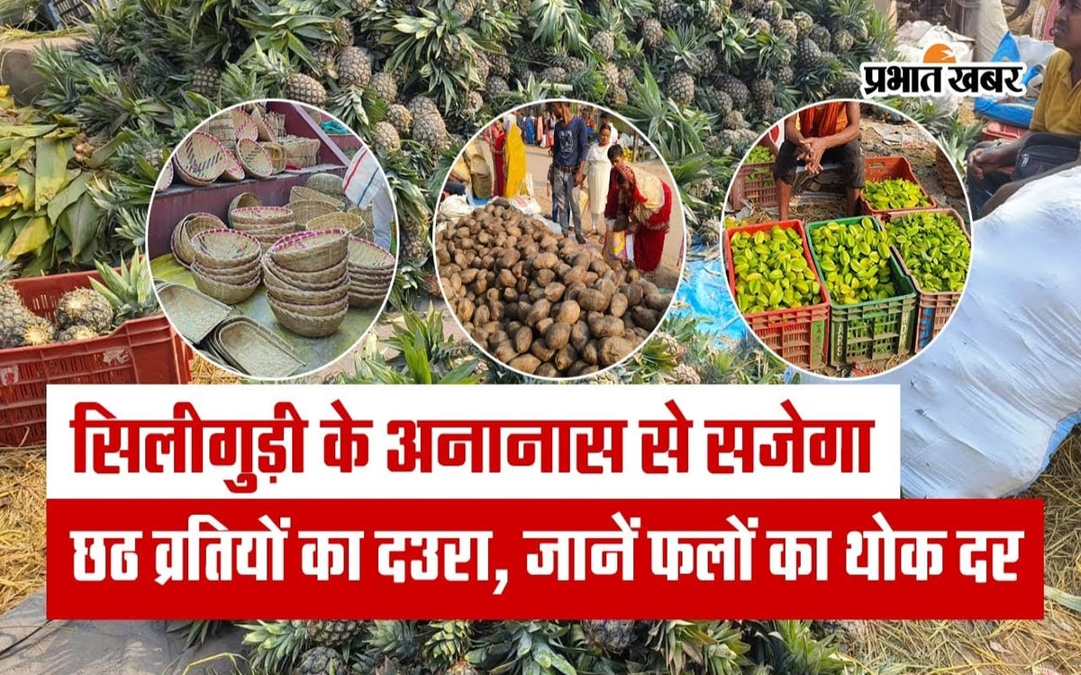 VIDEO: The visit of Chhath vratis will be decorated with pineapple from Siliguri, know the wholesale rate of the fruit