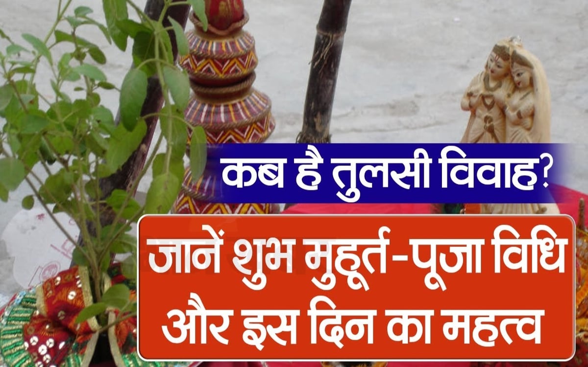 VIDEO: Worship of Tulsi brings happiness and prosperity in the house, know when is Tulsi Vivah, auspicious time and method of worship.