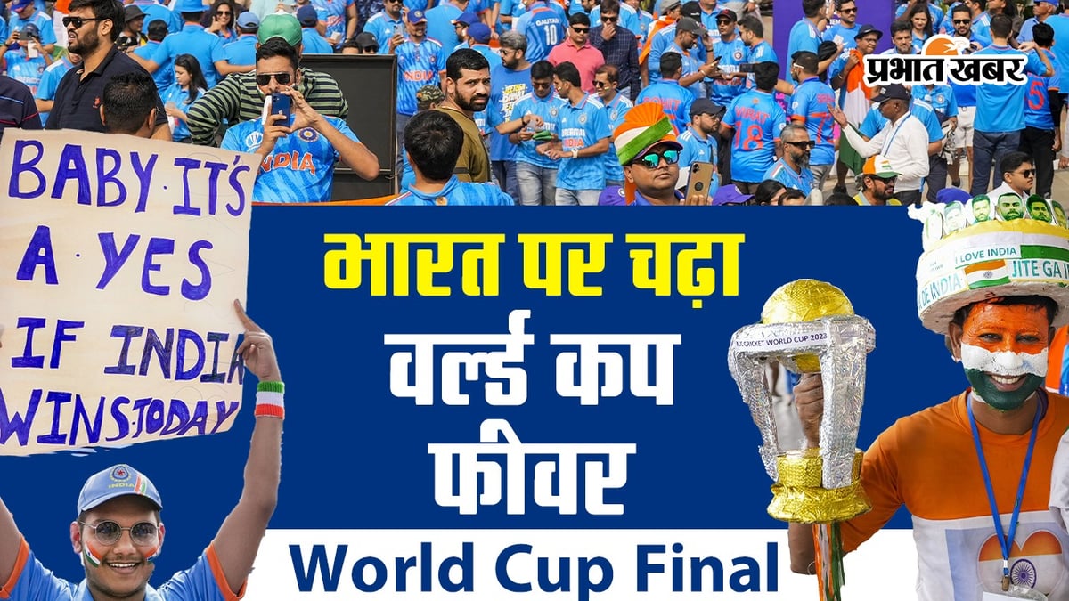 World Cup Final: Crowd gathered to watch the final match, World Cup fever gripped India