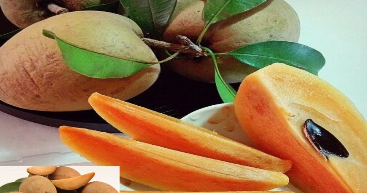 Chiku Benefits: There are amazing benefits of eating chiku in winter, know the specialty of this fruit.