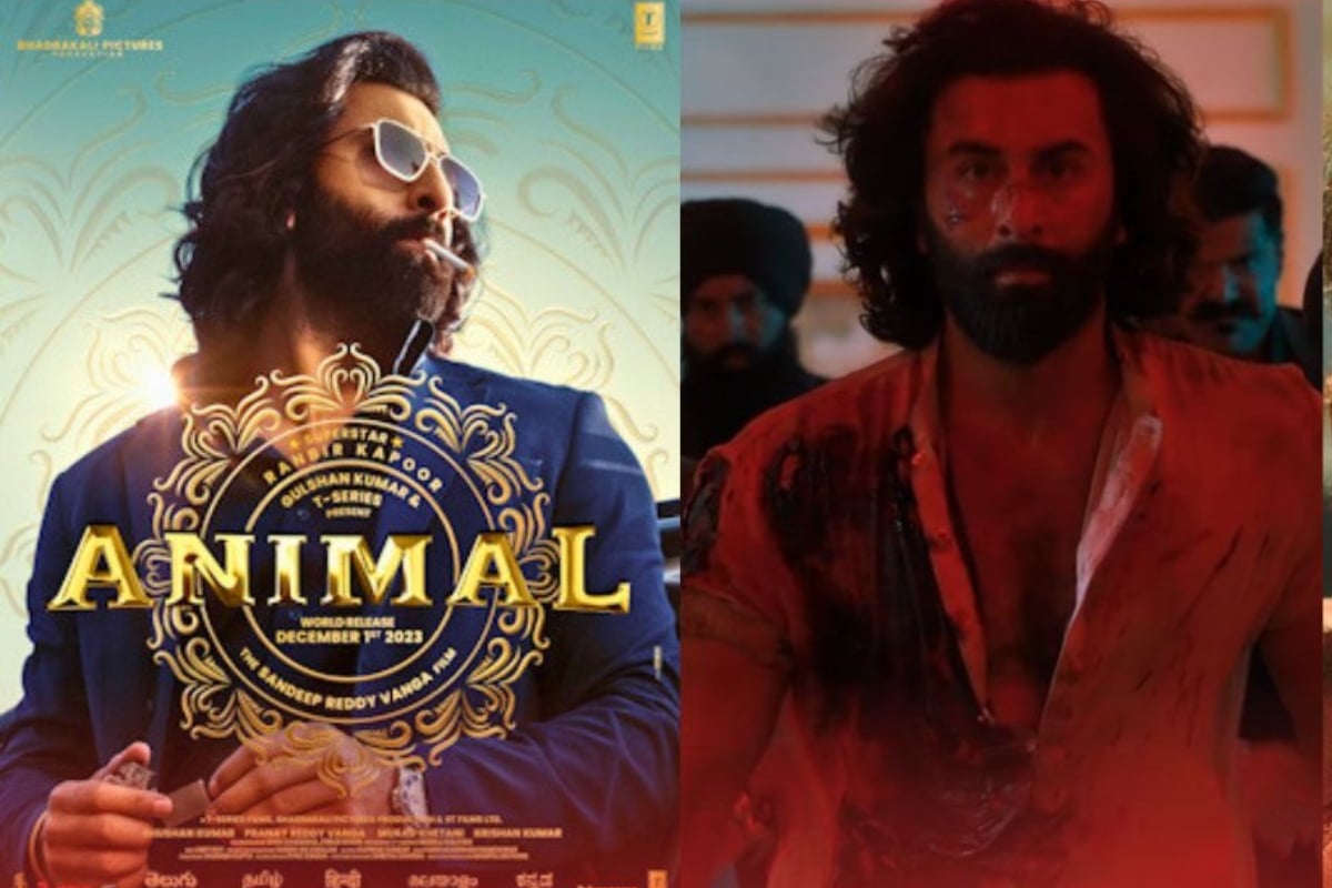Animal Box Office Collection: Ranbir Kapoor's Animal will not compete with Donkey, know the complete collection till now