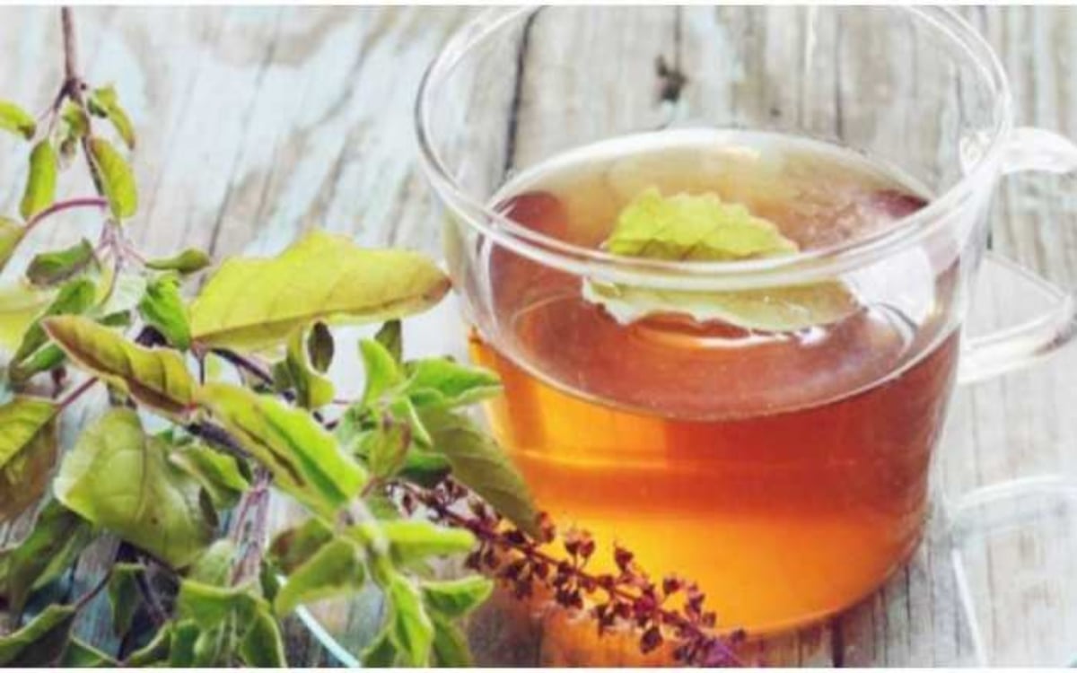 Health Tips: Tulsi decoction eliminates many diseases from their roots, know about the 6 benefits of it.