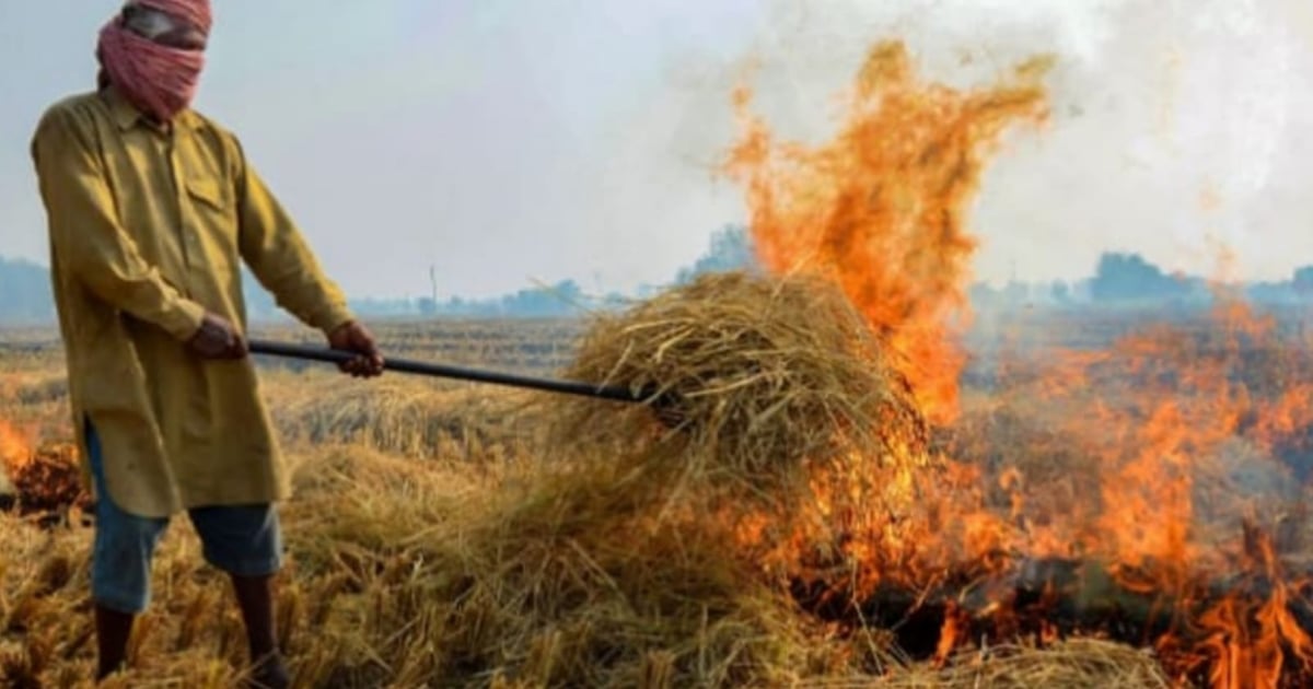 6 farmers burning stubble caught by satellite in Bihar, administration deprived them of government schemes