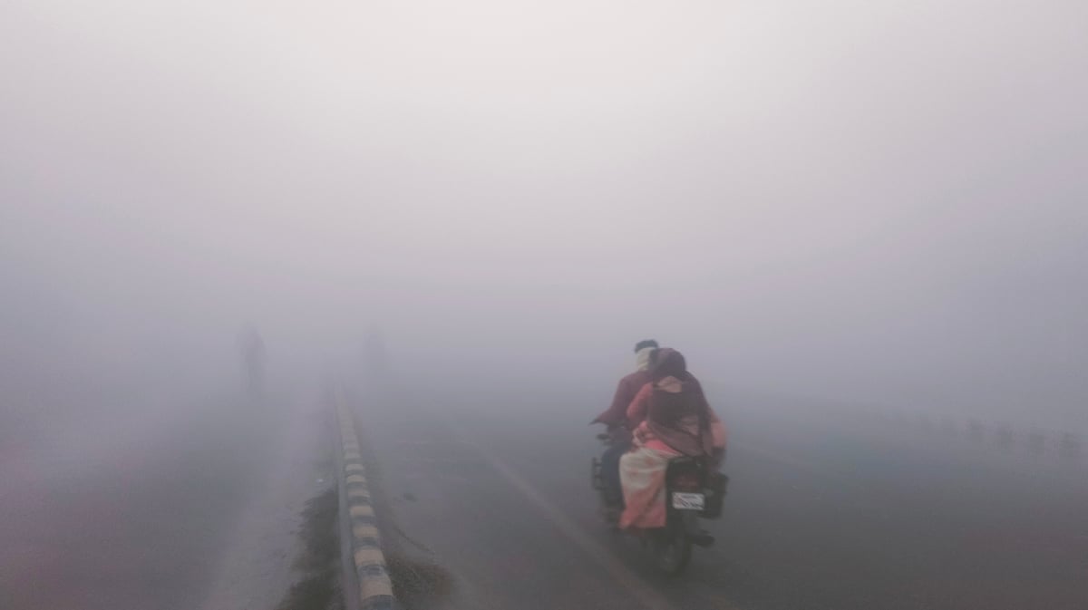 Bihar weather: Fog put brakes on the speed of vehicles on the Bagaha-Bettiah main road.