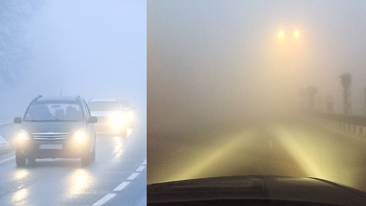 Car Driving Tips: Drive carefully in foggy weather, keep these rules in mind