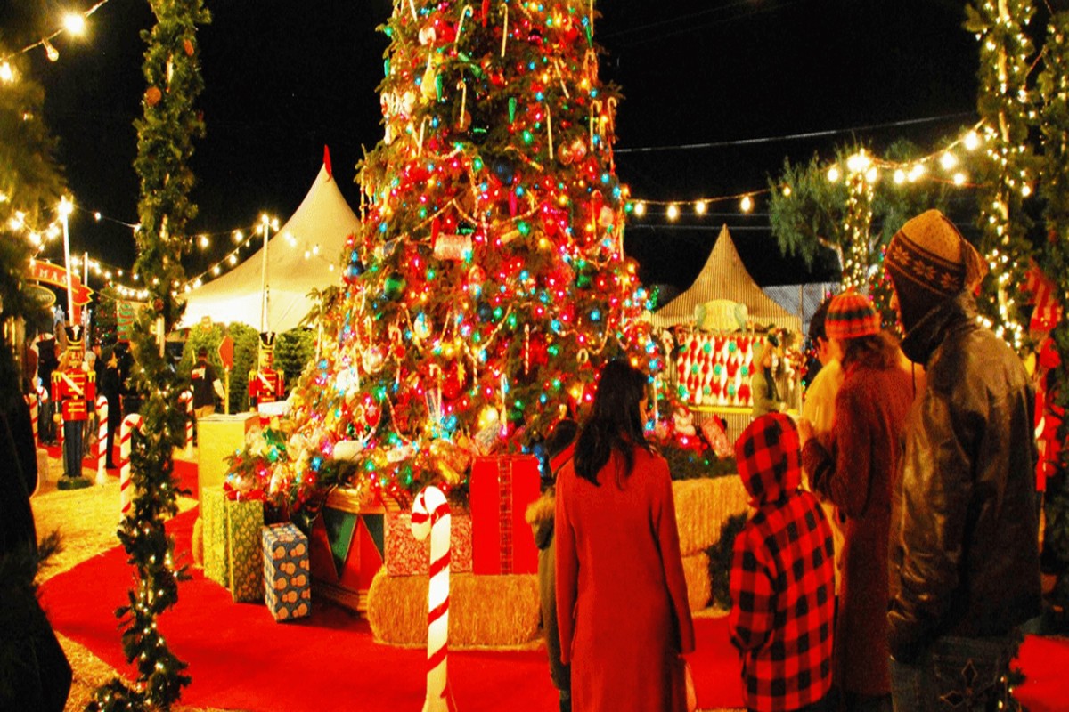 Christmas 2023: Manali is best for Christmas, here you will get double dose of party, plan to visit soon