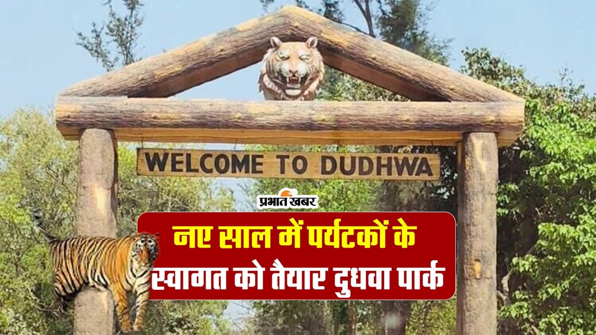 Happy New Year 2024: Dudhwa full in the new year, hotel and resort fares increase three times, VIDEO