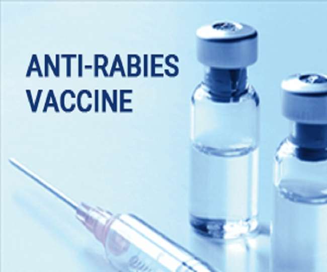Irregularities in the purchase of anti rabies vaccine in Jharkhand, it is being taken at Rs 34 to 94 more in the districts