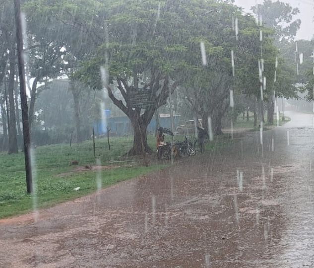 Lohardaga: Life disrupted due to rain, farmers worried about financial loss