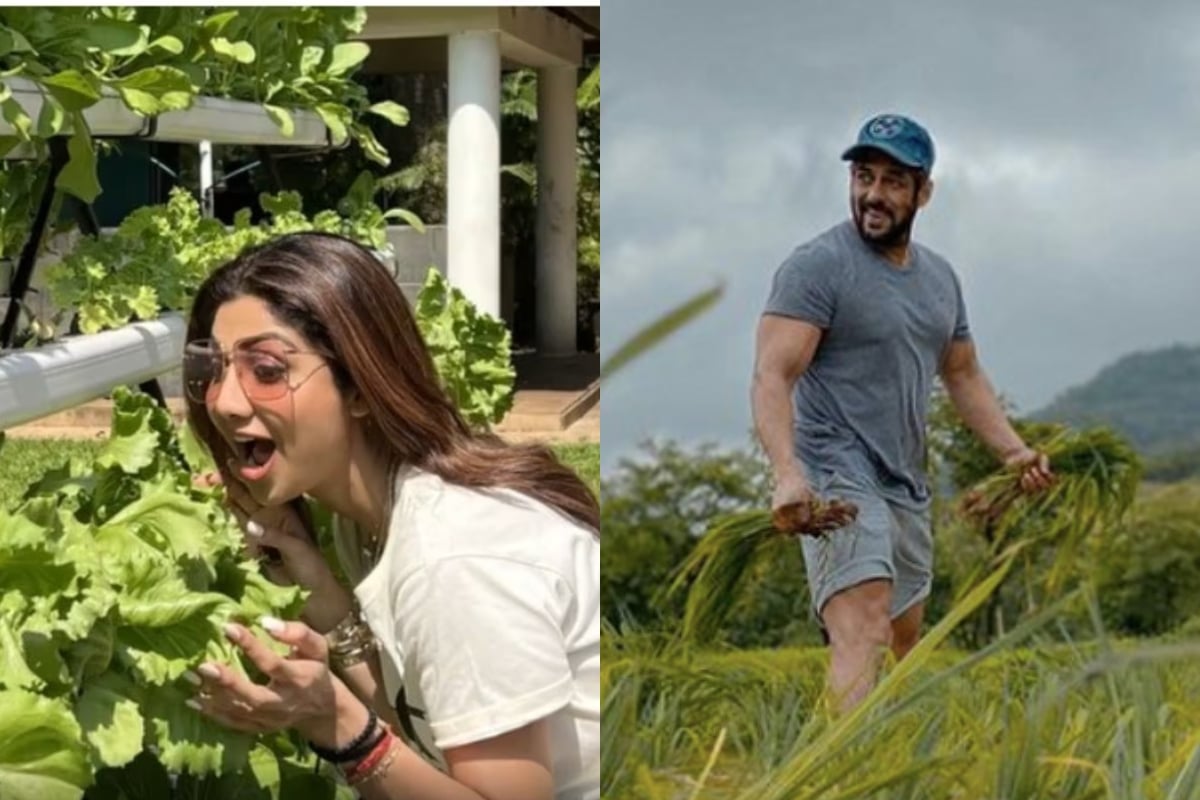 National Farmers Day 2023: These stars do farming along with acting, grow vegetables on barren land