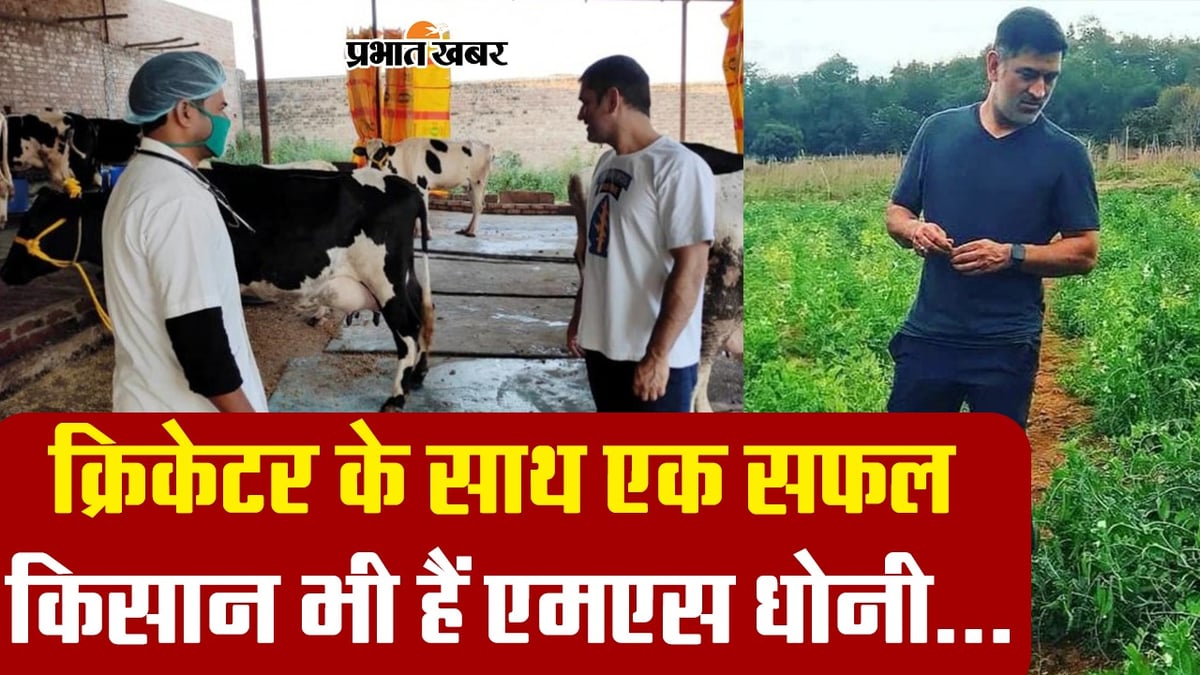 VIDEO: Along with being a cricketer, MS Dhoni is also a successful farmer.