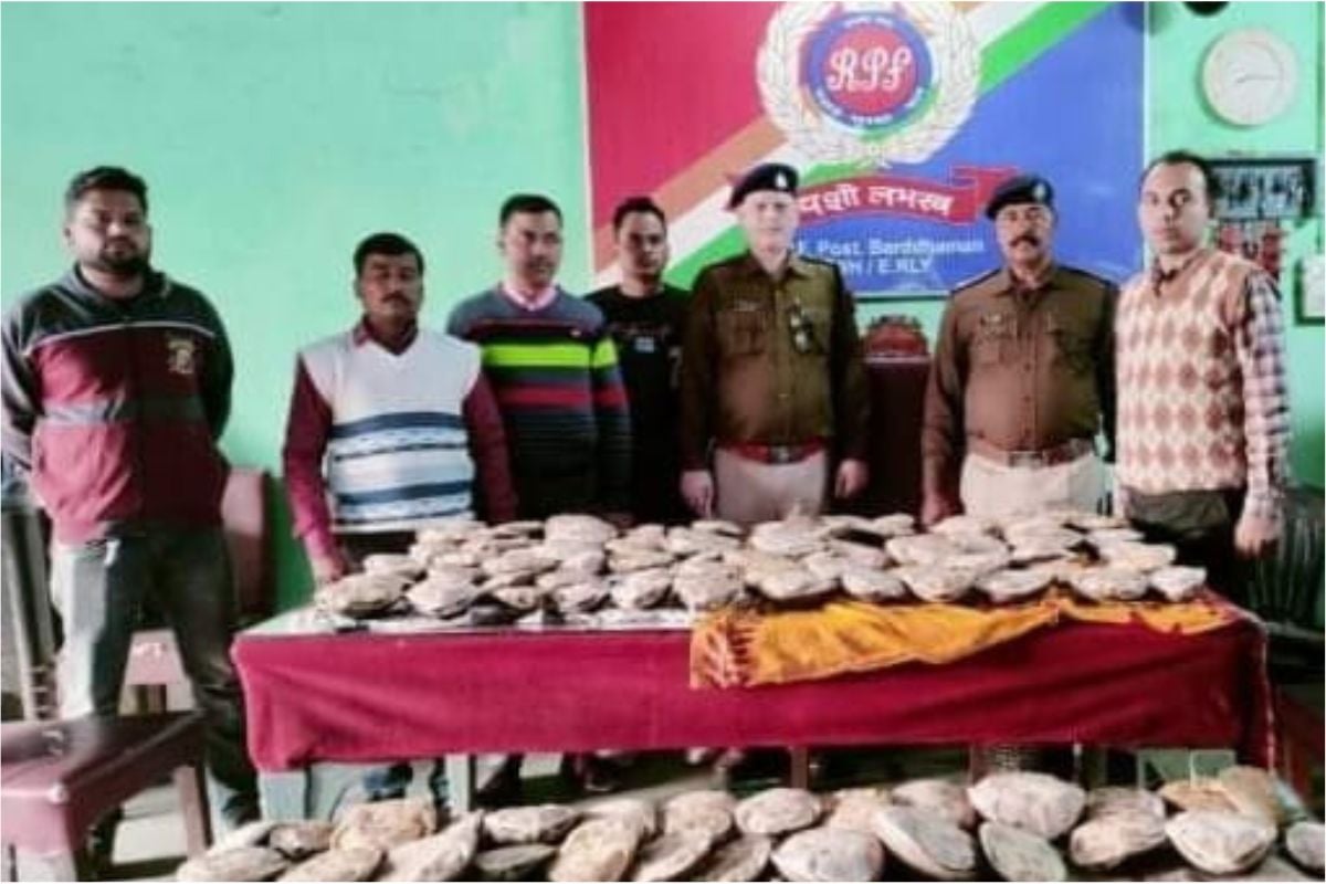 West Bengal: 98 tortoises being smuggled from Down Chambal Express train recovered, RPF handed over to Forest Department