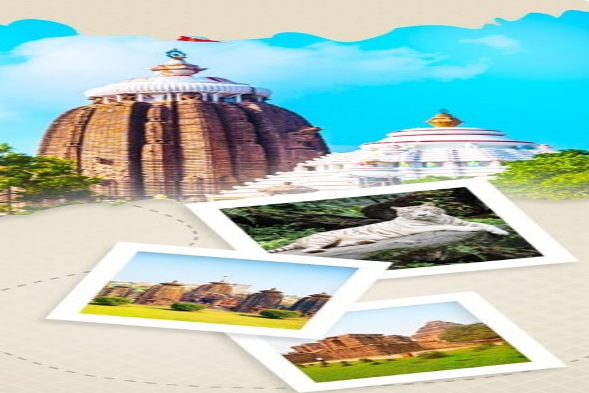 IRCTC Tour: Do religious journey with family, IRCTC has brought travel package from Bhubaneswar to Puri.