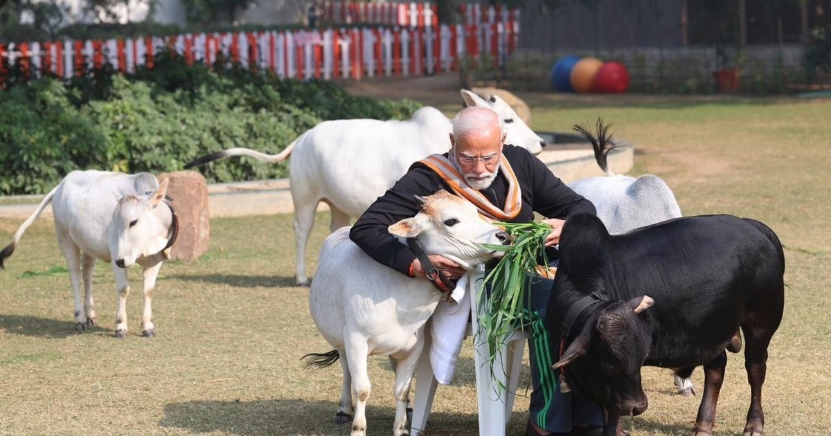 You might not have seen PM Modi in this form, after celebrating Pongal, he was seen feeding fodder to cows.