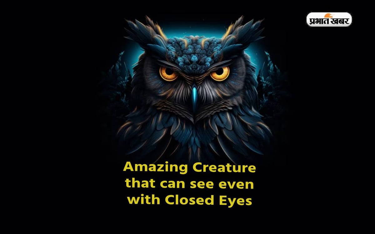 You will be surprised to know that these creatures can see everything even with their eyes closed.