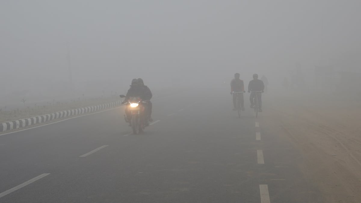 Bihar Weather: A view like Shimla and Darjeeling is visible in Purnia, alert issued regarding cold wave in Seemanchal.