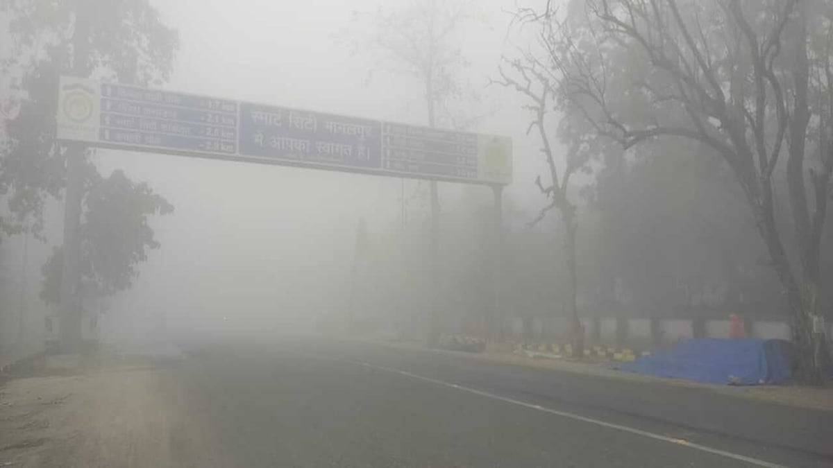 Bihar Weather: Know the reason for dense fog in Bihar, weather report for the next 5 days from the Meteorological Department..