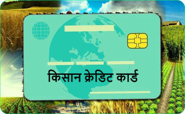 Give benefit of Kisan Credit Card to needy farmers: LDM