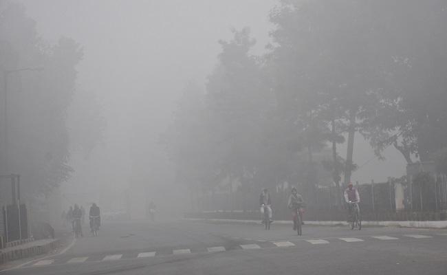 Jharkhand Weather: Yellow alert regarding dense fog in Jharkhand on Makar Sankranti, chances of rain from January 17