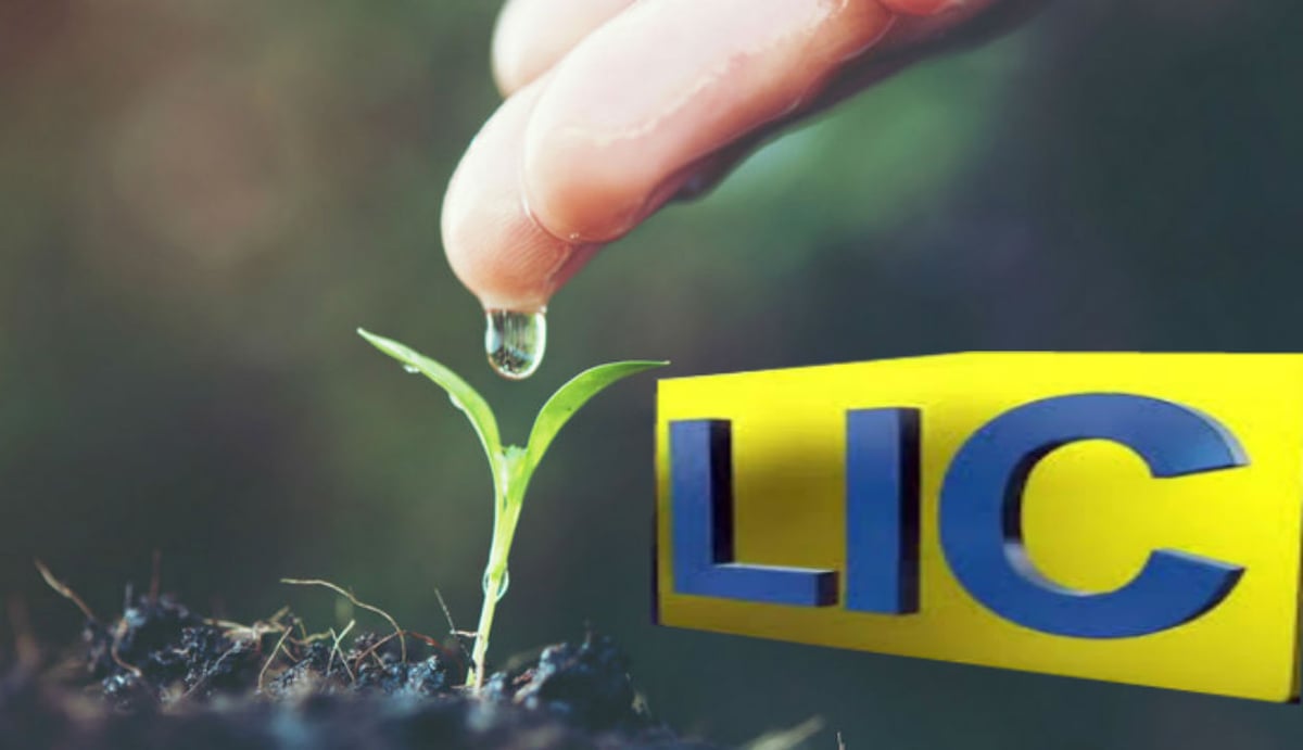 LIC: You can get cheaper and easier loan than personal loan on your insurance policy, know how and where to apply.