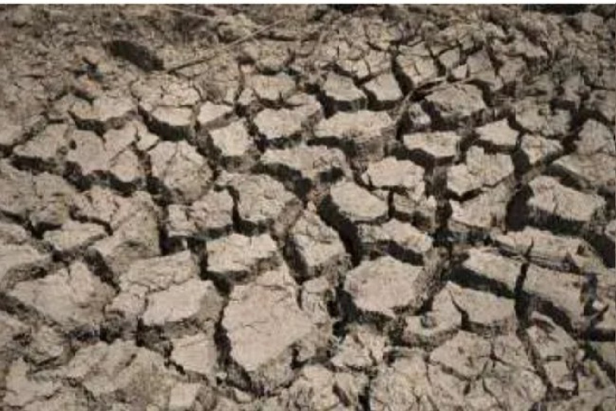 More than 15 lakh farmers affected by drought in Jharkhand, government had conducted ground truthing