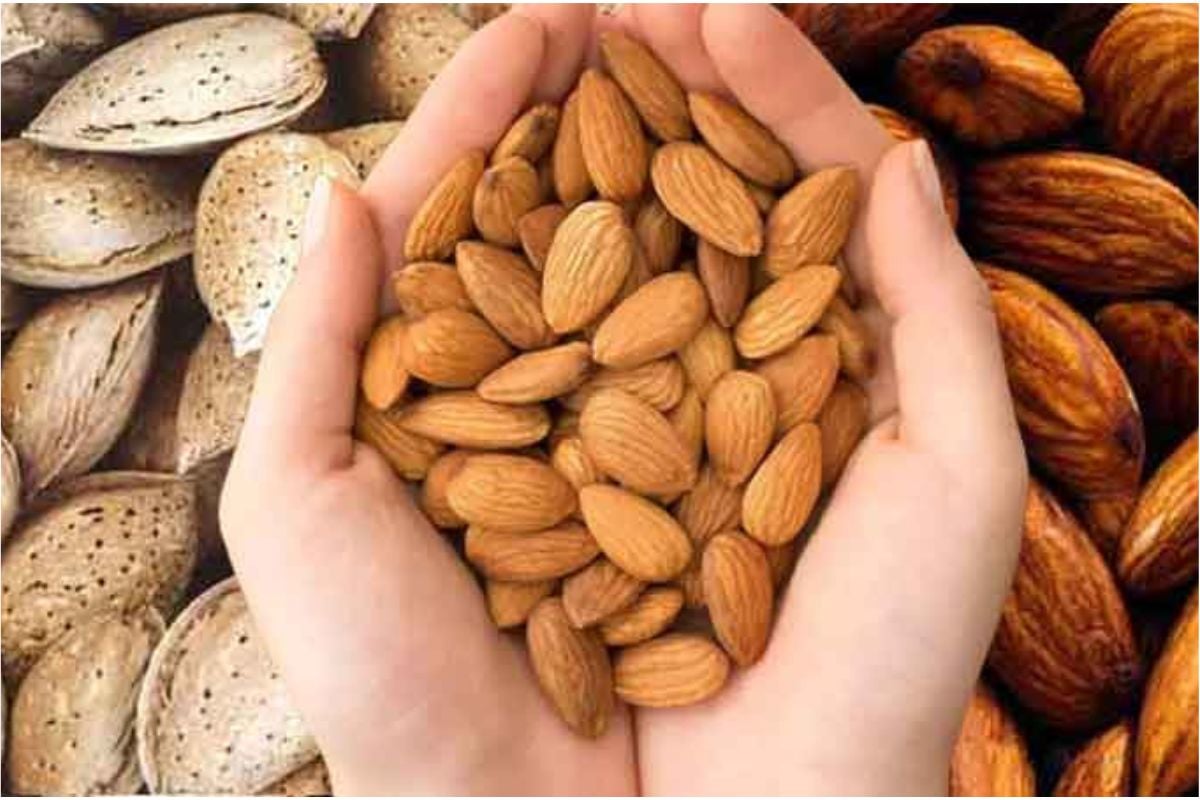 National Almond Day: Blood sugar will be controlled with a handful of almonds