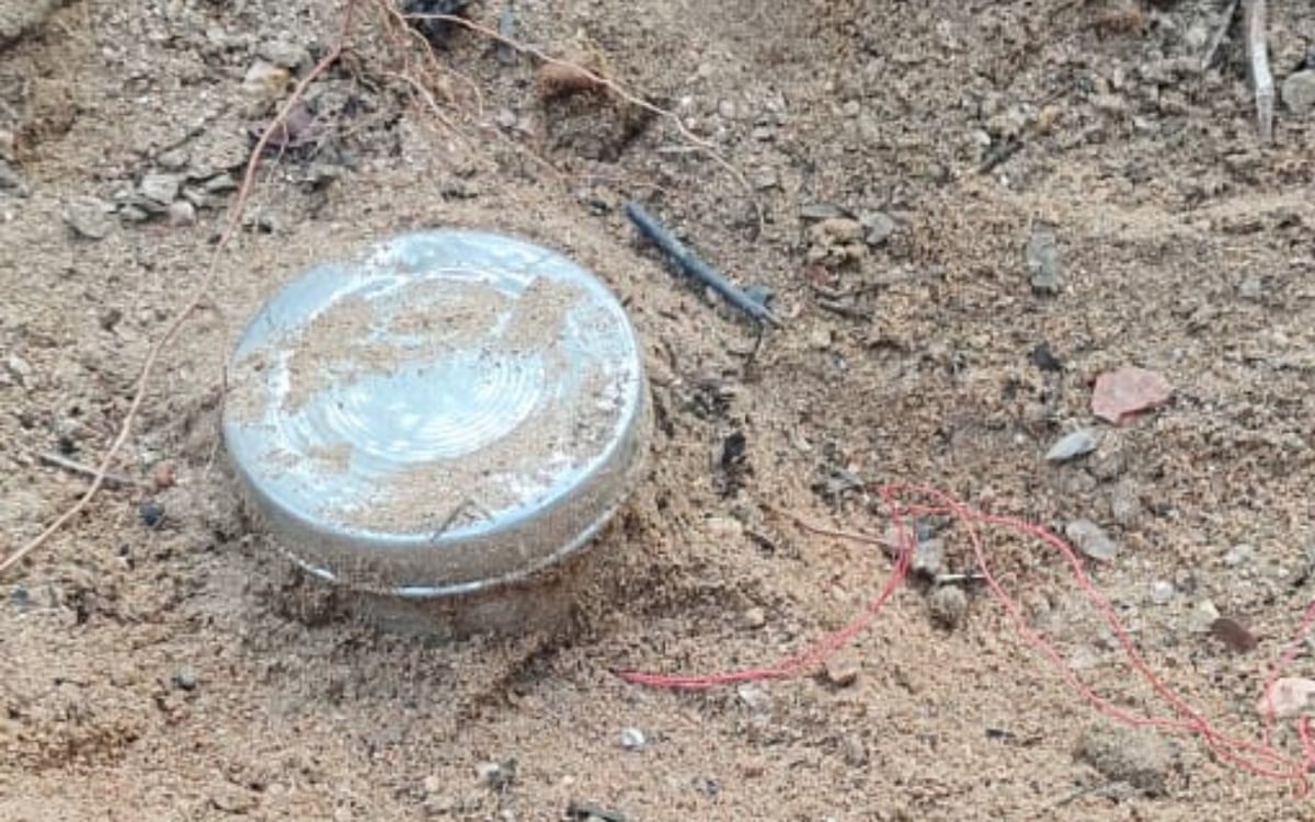 Naxalites' conspiracy failed again in Jharkhand, five kg tiffin bomb recovered from Latehar forest, search operation going on