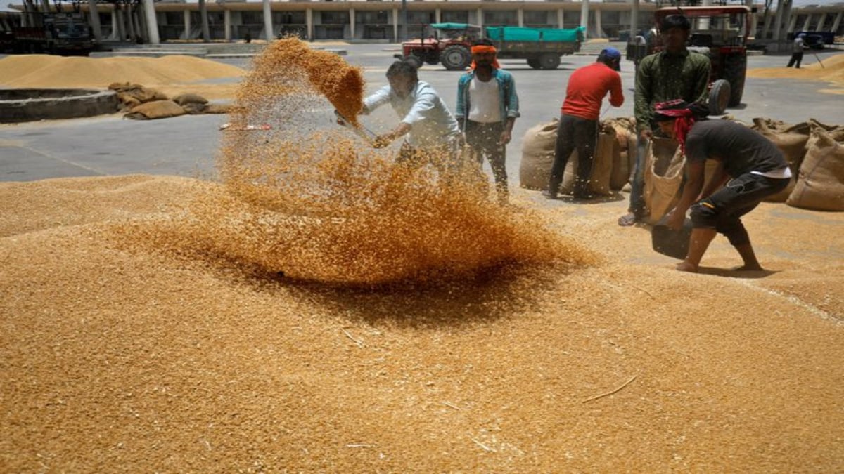 Price Hike: Prices of wheat, rice and sugar will not increase, Union Minister told the government's plans, you also know