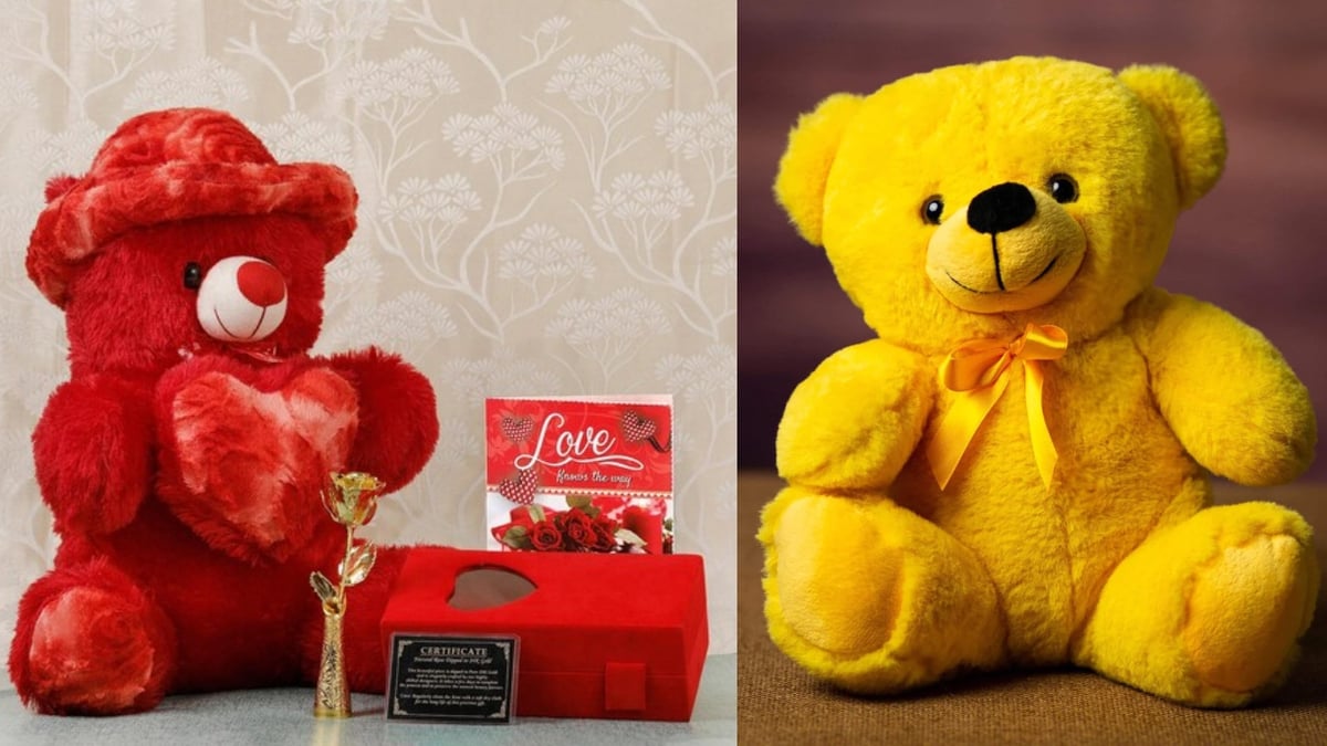 Teddy Day 2024: Know what message teddy bears of different colors give