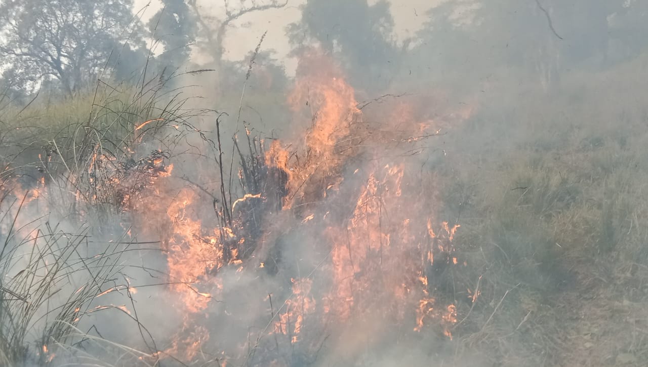 fire broke out in Valmiki Tiger Reserve forest burnt