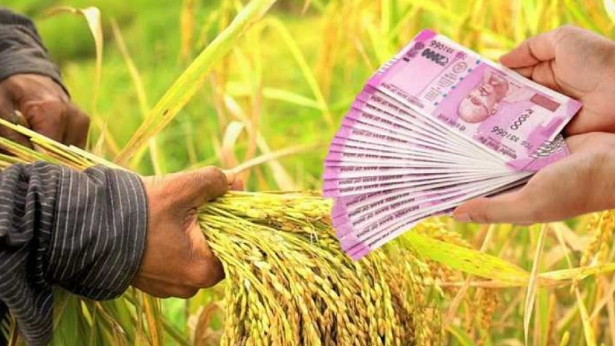 Agriculture and Rural Development Bank will open in Bihar also, farmers will get huge capital in the form of loan