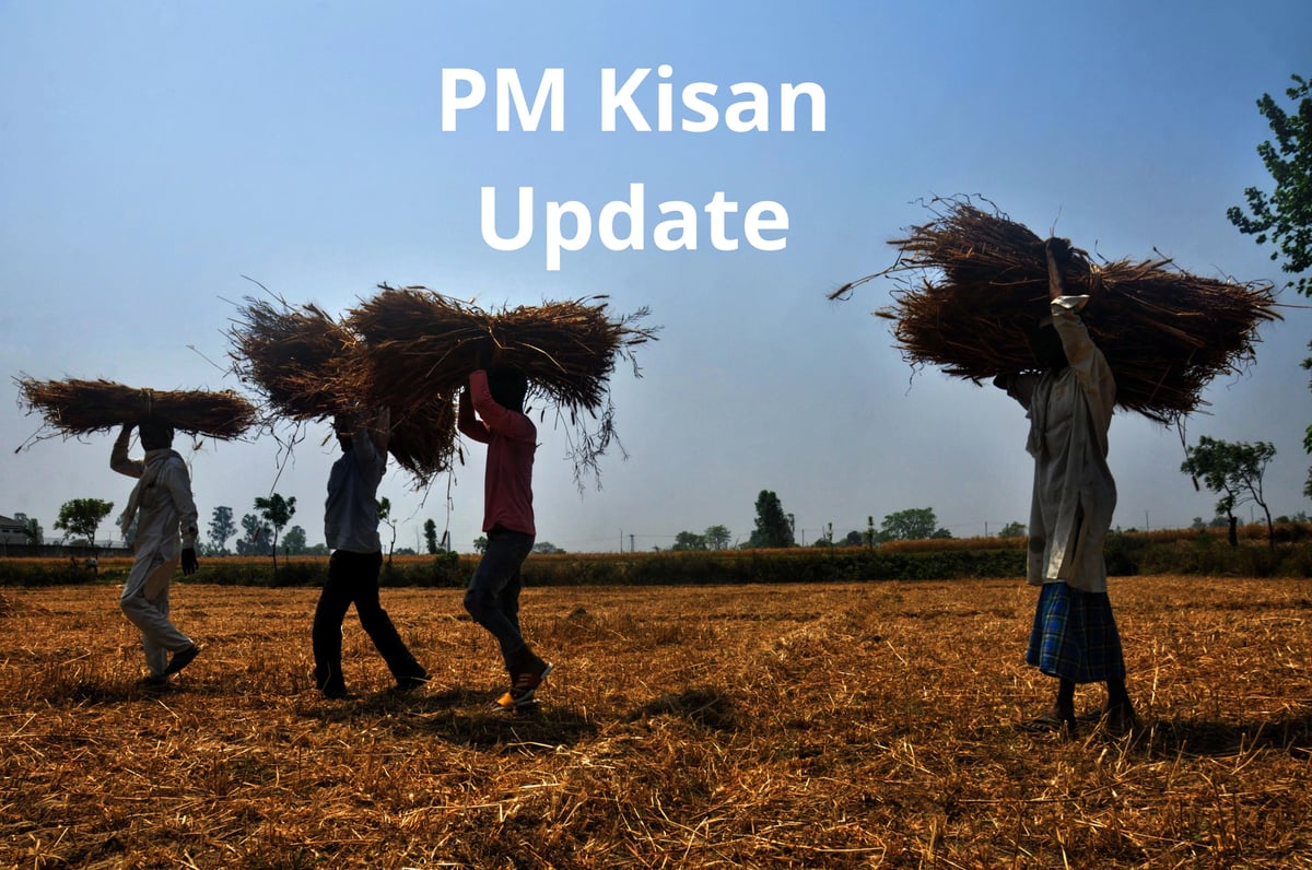 PM Kisan Update: Has your application been canceled?  This update came with the 16th installment