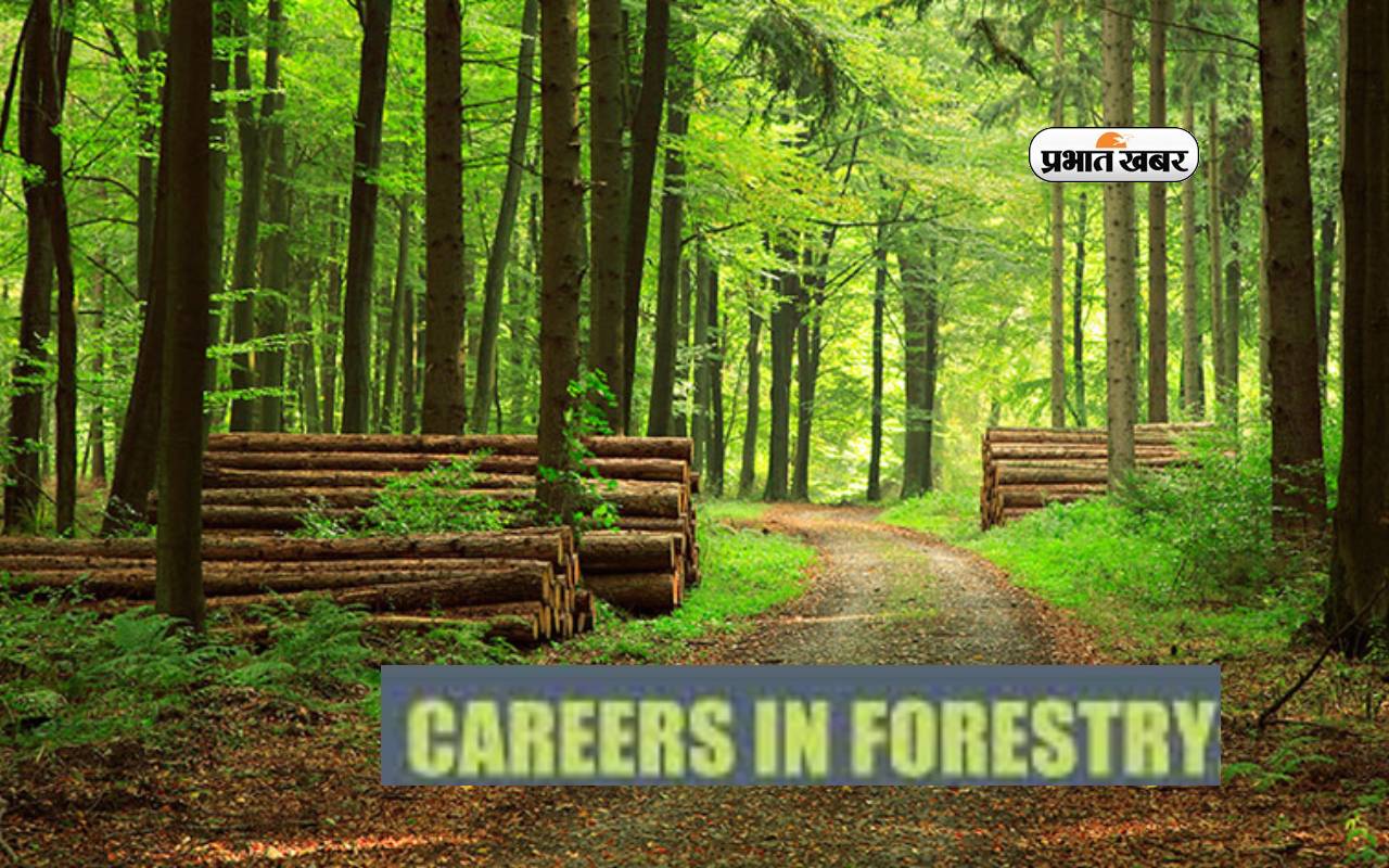 Career in Forestry: Many colleges and universities of the country offer B.Sc., B.Sc. (Hons.) and M.Sc. programs in Forestry.
