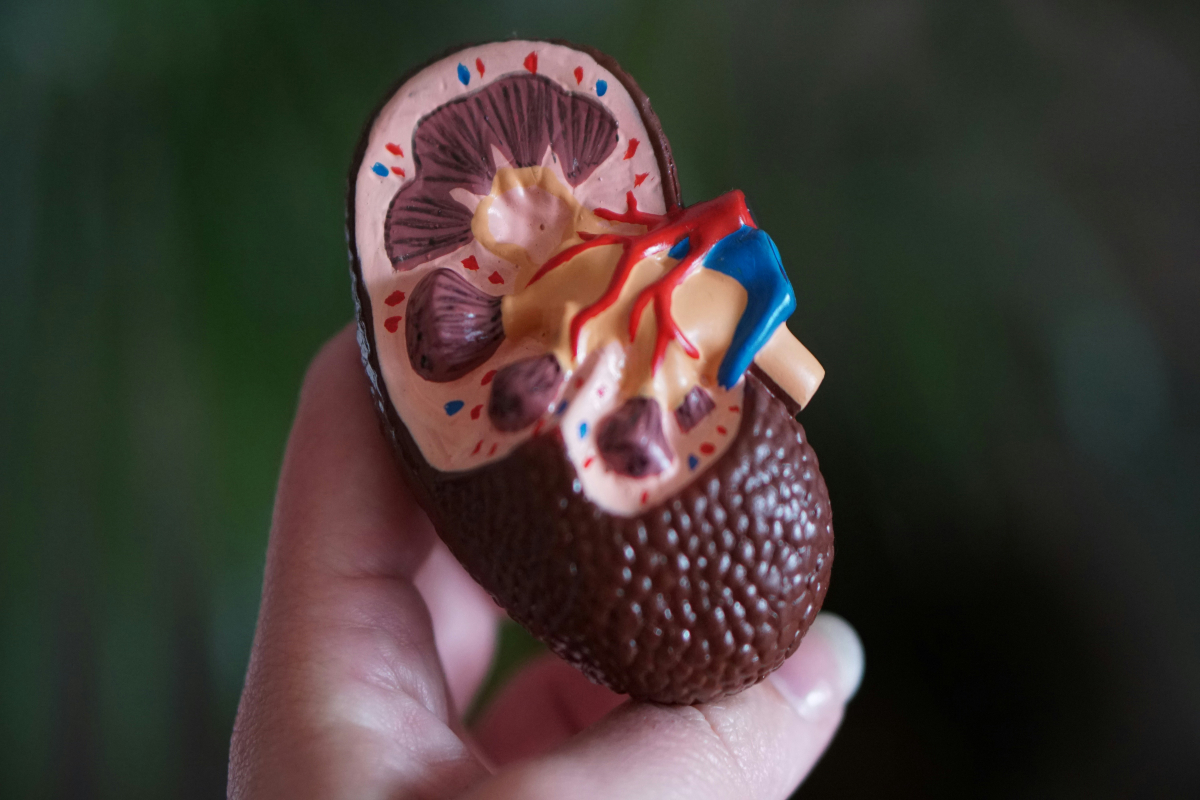 Health Tips: These 5 habits have a bad effect on your kidneys