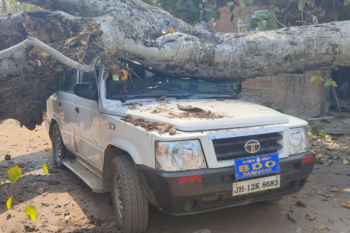 Banyan tree fell on BDO's vehicle in Koderma, officer narrowly escaped, officer had gone out to inspect the booth