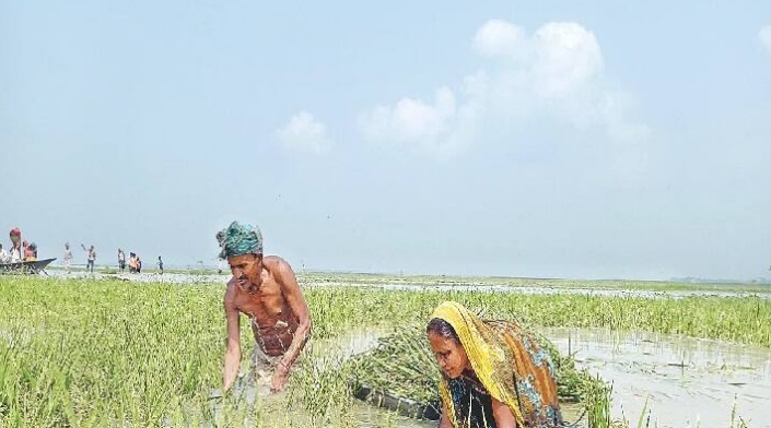 Bihar: Water level of Gandak river increased, pressure on dam increased