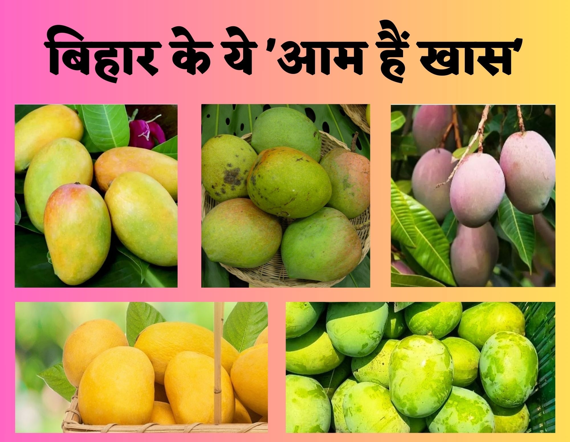 ‍Bihar Special Mango