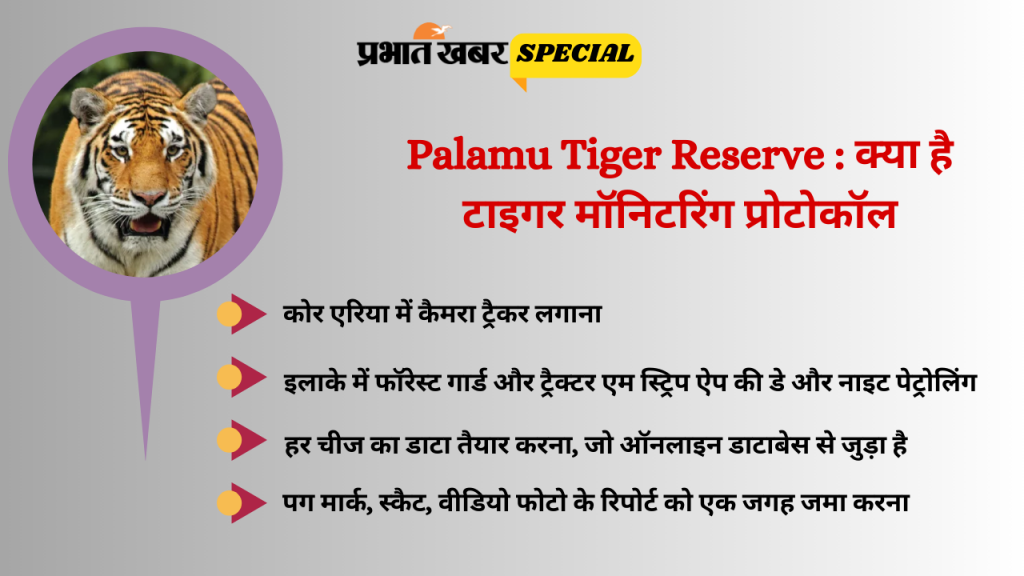 Palamu Tiger Reserve