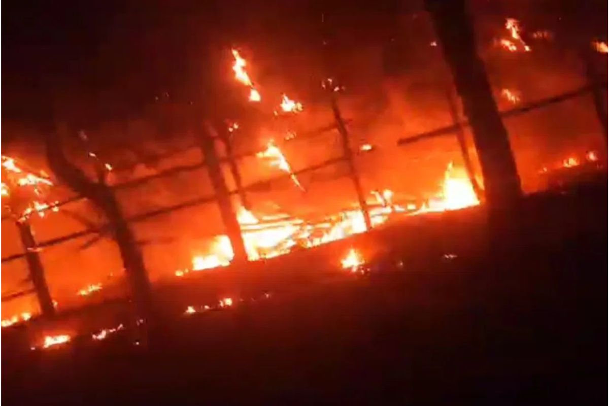West Bengal: Huge fire broke out in poultry farm in Bagda, hundreds of chickens burnt to death.